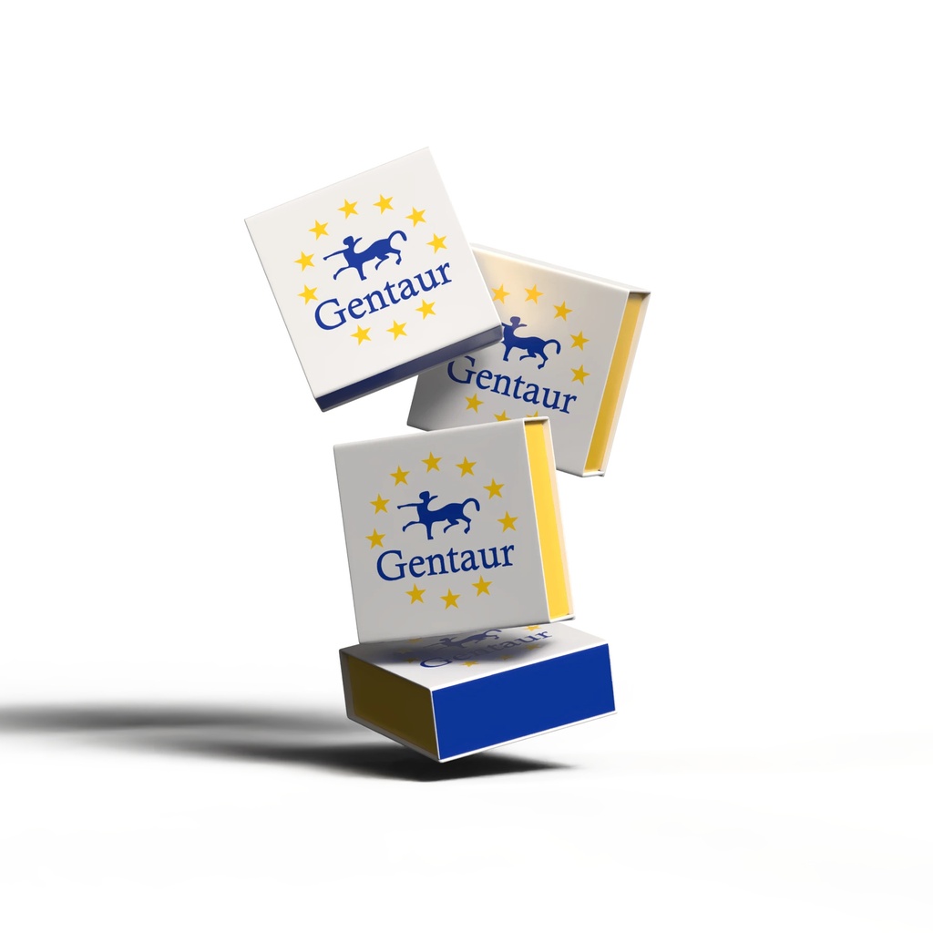 3-(4-tert-Butyl-1-pyridinio)-1-propanesulfonate1g