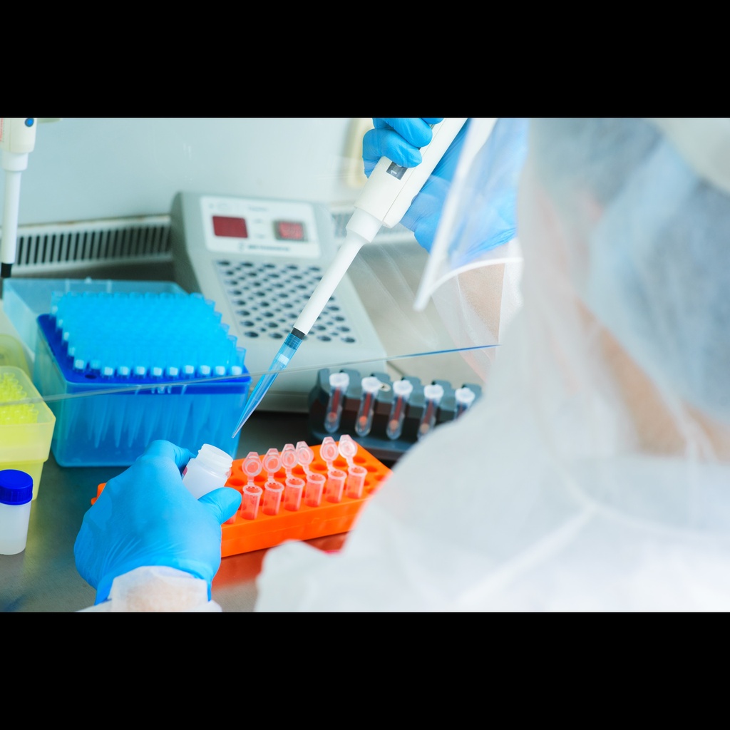 Corynebacterium bovis onesize:Step PCR kit size: 100 Reactions