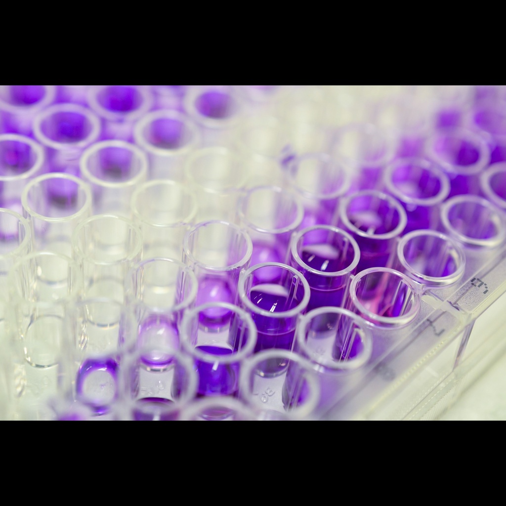 MONKEY ANTIsize:KLH IGG ELISA  FOR EXPORT , KLHGsize:3size:INT, 96 tests
